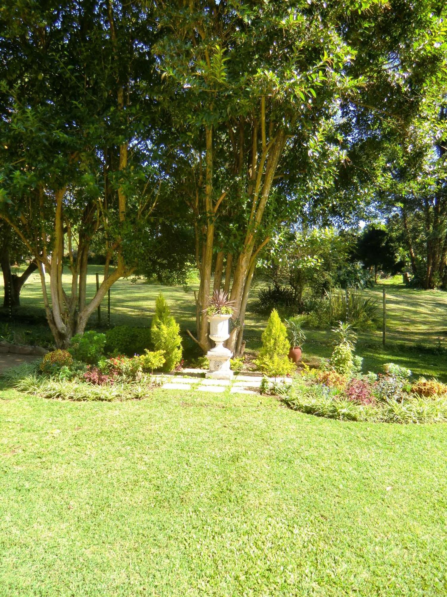 Warrens Guest House Hillcrest Habitación foto